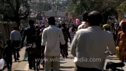 Varanasi-Allahabad kumbh mela-Arti shot-hdc-tape-7-22