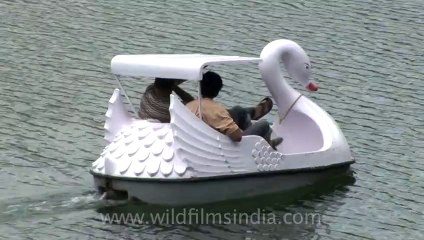 Escape festival-hdv-tape-4-1