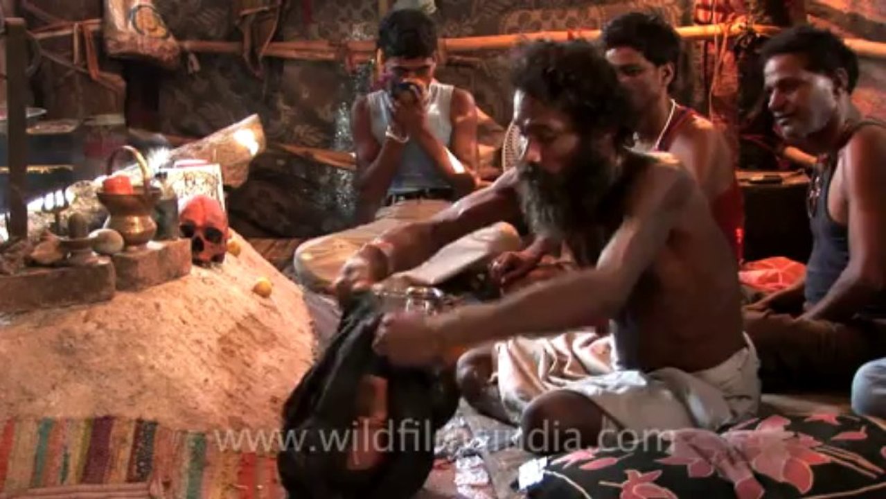 aghori-haridwar-hdv-4-8
