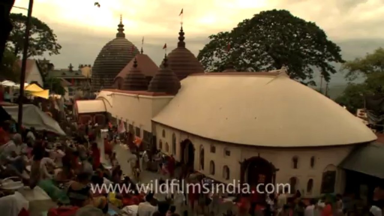 Assam-81