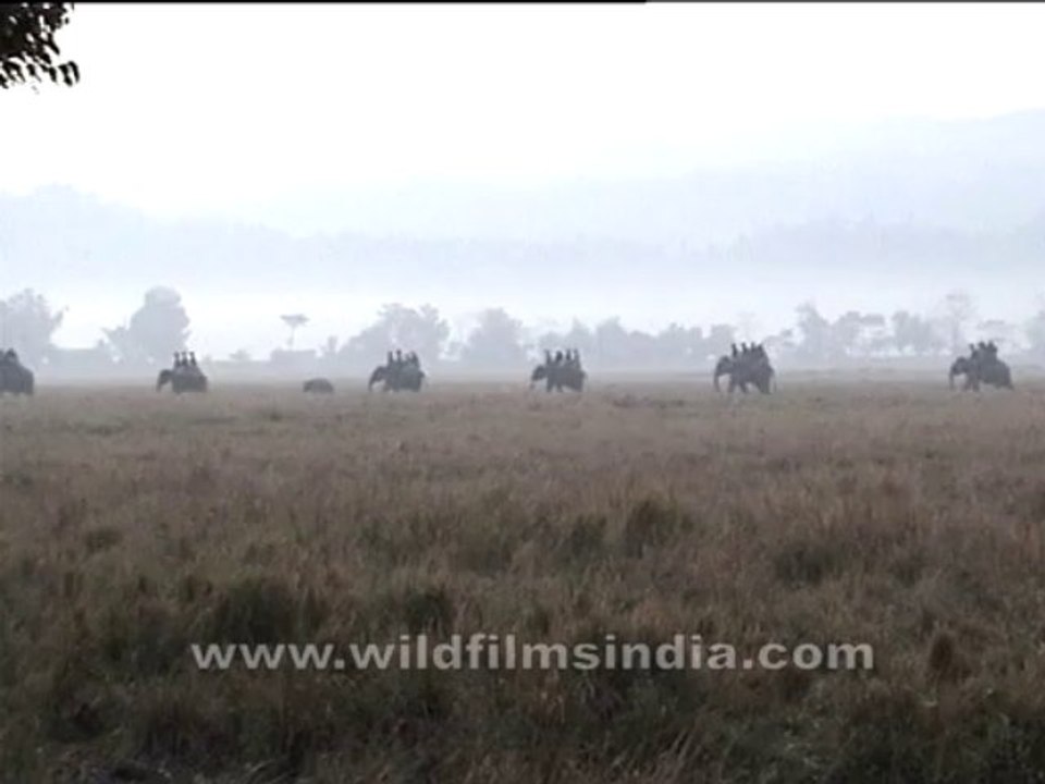Assam-mdv-895-1