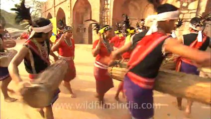 assam-mizoram-nagaland-hdc-151-1