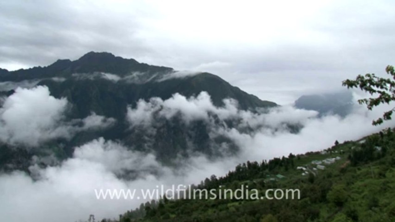 Badrinath-hdv-4-4