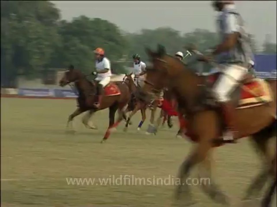 Delhi Polo-5