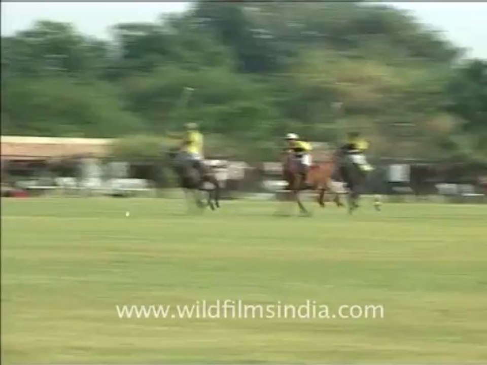 Delhi-polo-1