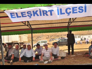 ağrı bluşması slayt