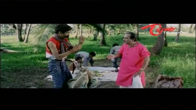Hilarious Scene Between Kallu Chidambaram | Kondavalasa