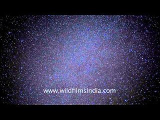 Time lapse : Starry clouds