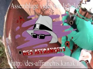 angel tatoo aout 2013