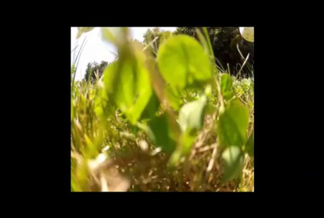 9e Vol_la ferme des Moal