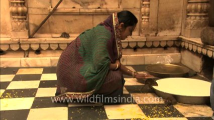 Rajasthan-Karnimata temple-HDC-5-rats
