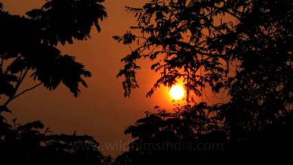 Thailand-Koh-Samui-1