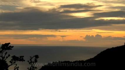 Timor-Wildlife-Landscape-19