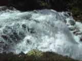 Puissante rivière torrent dans les Pyrénées