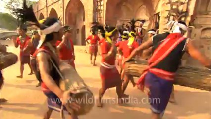 Assam-mizoram-nagaland-HDC-151