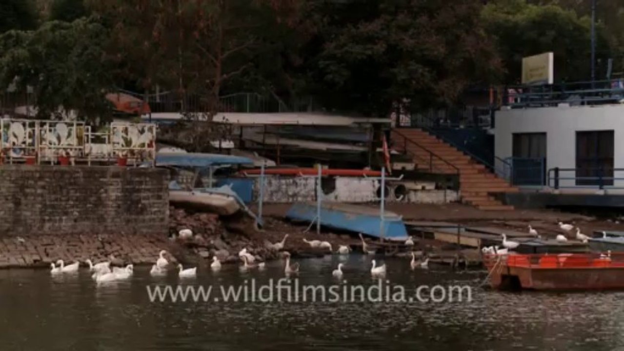 Bhopal-1