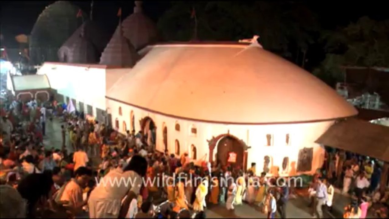 Blinkx-assam-48