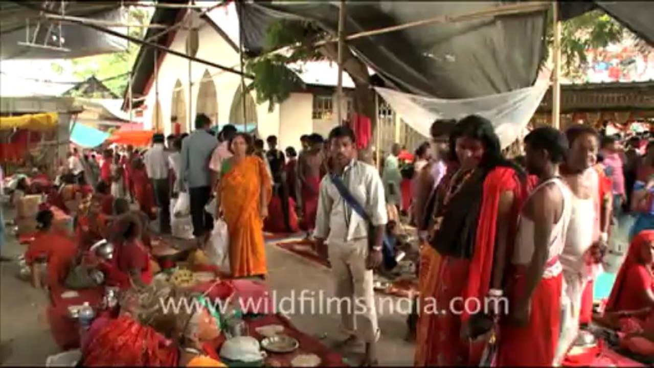 Blinkx-assam-54