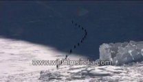 Camping on the white snow-alaska-MPEG-4 800Kbps