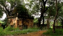 Delhi-mughal tomb-4