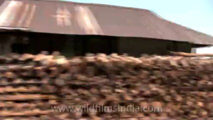 driving through jakhama-6