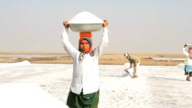Gujarat-Salt collecting-7