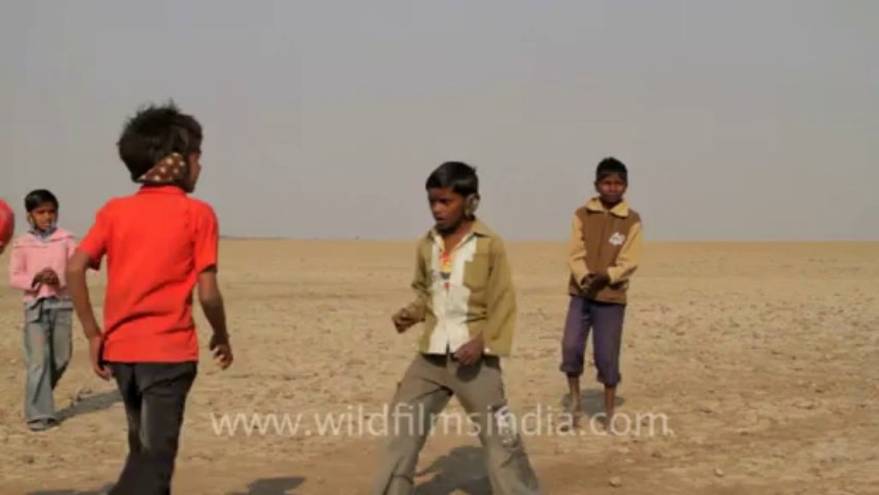 Gujarat-Shool in desert-2