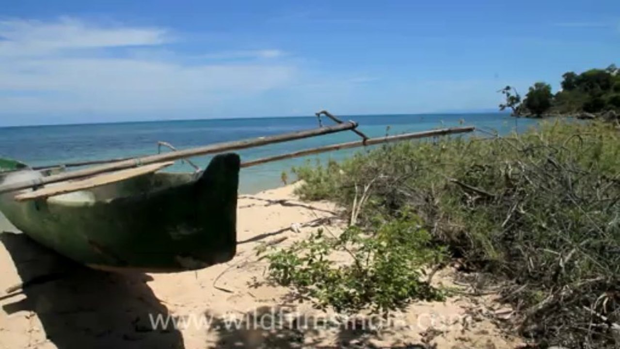 Timor-Wildlife-Landscape-2