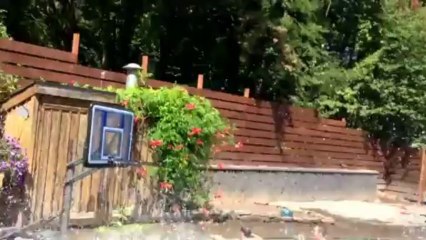 Basket : une incroyable combinaison de alley-oop en piscine