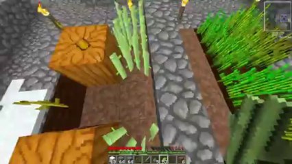 Minecraft Skyblock - EP 26 - The End!