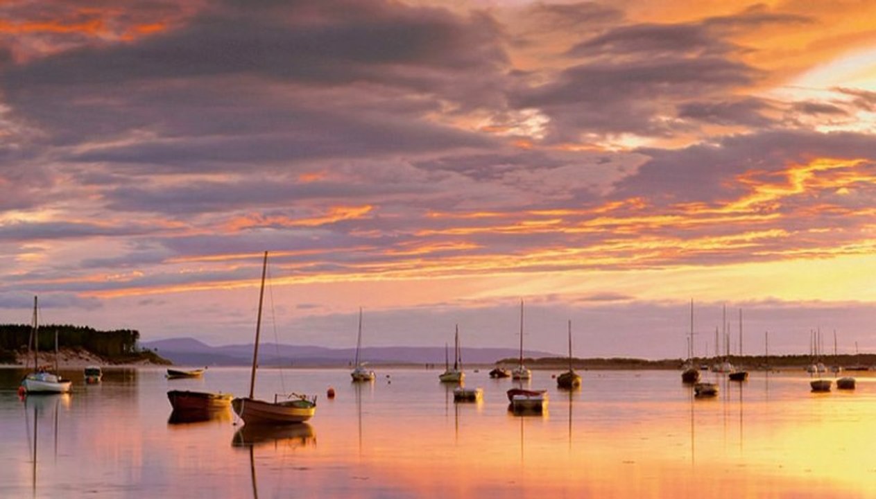 Aslıhan Erkişi - - Gel sen bize akşam yine mehtâb görünsün