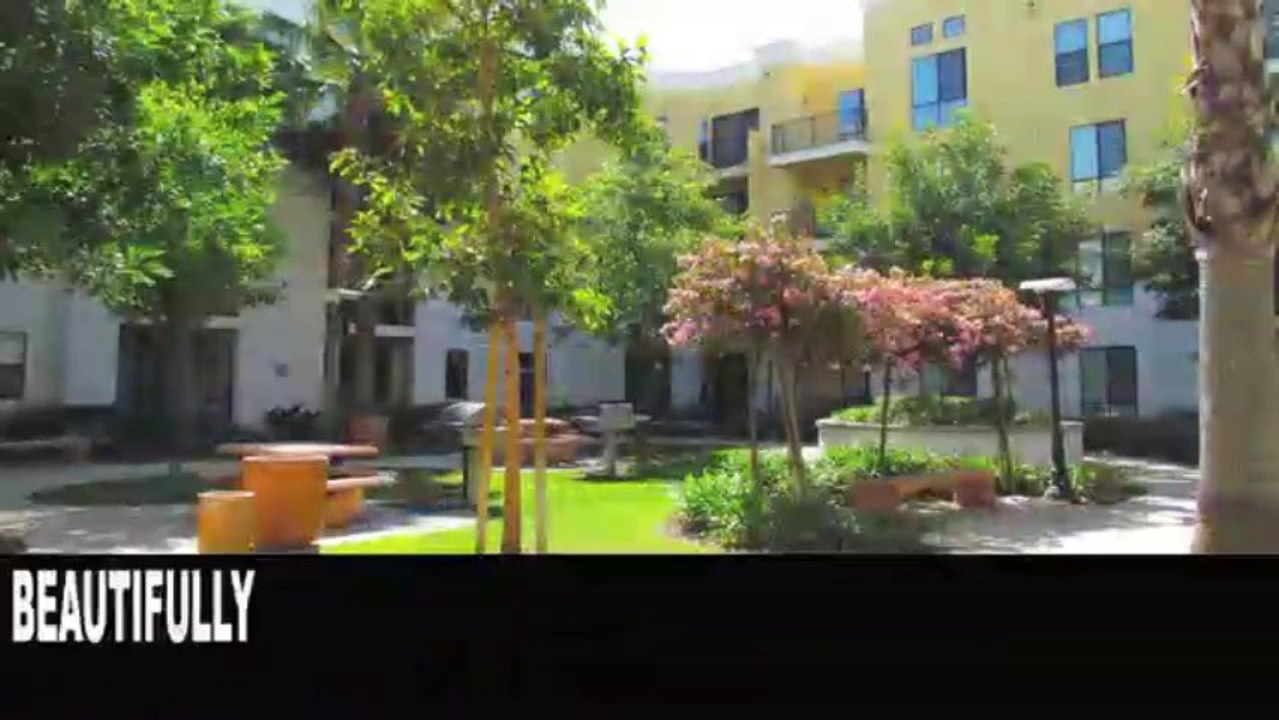 Erica Vid Camp 32 please enjoy this video campaign. This is for testing and only for the developer.
