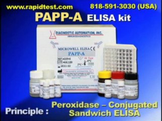 PAPP ELISA kit