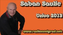 Saban Saulic - Bio sam pijanac (Uzivo 2013) HD