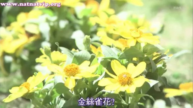 無名毒 第7集 Namonaki Doku Ep7