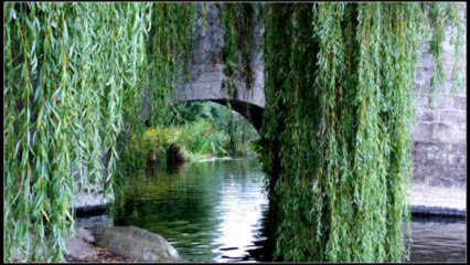 Mon film Clisson - pays de Loire - la petite Italie de l'ouest