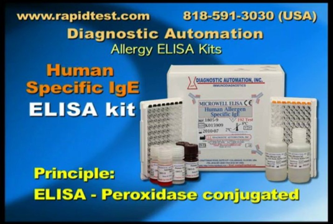 Human Specific IgE ELISA kit