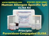 Human-Specific-IgG ELISA kit