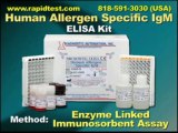 Human Specific IgM ELISA kit