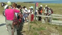 Les Glénan, petit paradis breton