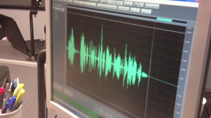 Nelson Radio Estate Planning and Bankruptcy