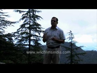 Rupin Dang talks about the Uttarakhand floods: The road ahead