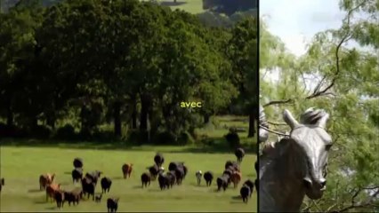 Dallas : générique 2013