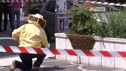 PUNTO DA UNA VESPA, RISCHIA DI MORIRE