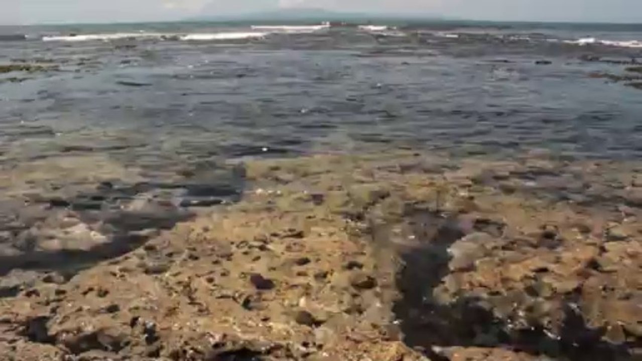 waves-2