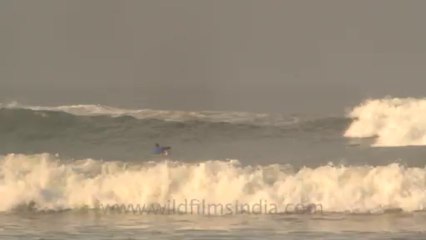 Indonesia-Bali-Surf-9