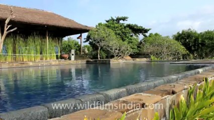 Indonesia-Bali-Uluwatu NN-3