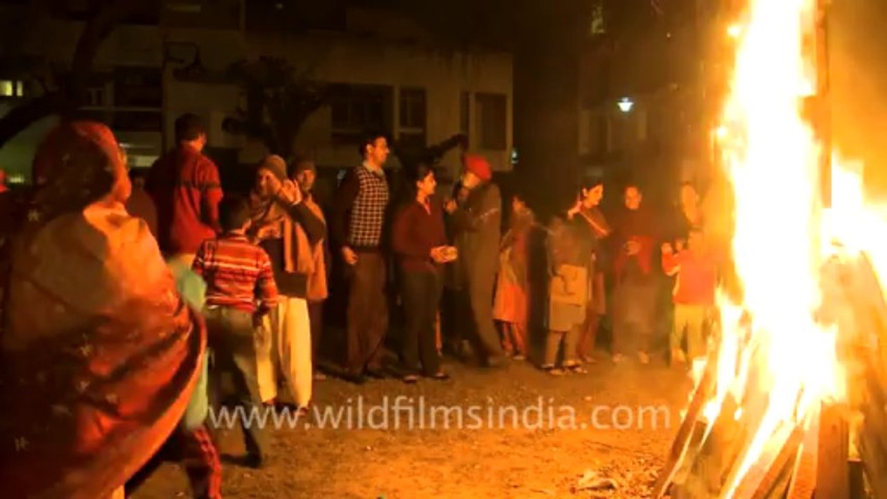 Lohri-1