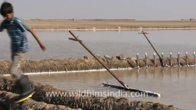 Rann-of-kutch-hdv-tape-11-crystallization of salt-1