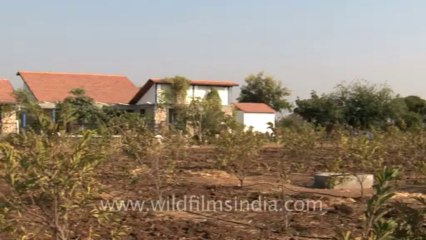 Rann-of-kutch-hdv-tape-13-windmill-1